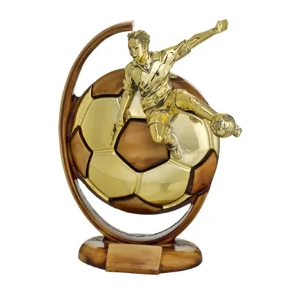 Zdjęcie Trofeum piłka - Astra Argenti