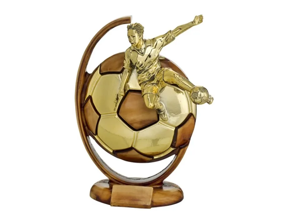 picture 1 Trophy ball - Astra Argenti