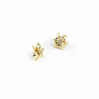 Picture 18K gold-plated silver earrings with white zircons