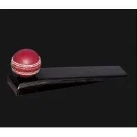 Picture Door rest with a cricket ball