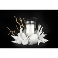Picture Italian candlestick in the shape of a shell, coral and starfish