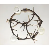 Picture Stylish home lighting - round deer antler chandelier