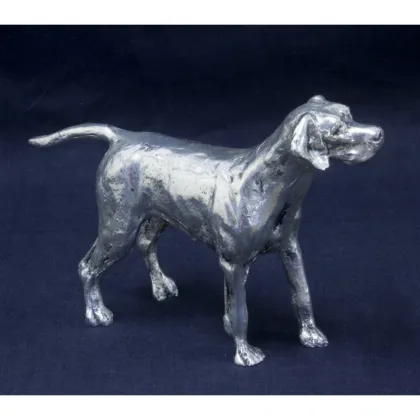 Zdjęcie Pokryty srebrem Fox Hound amerykański