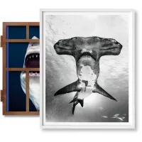 Zdjęcie Książka Michael Muller. Sharks, Art Edition No. 101–200 ‘Under Study’ - Taschen