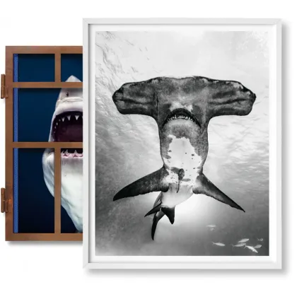 Zdjęcie Książka Michael Muller. Sharks, Art Edition No. 101–200 ‘Under Study’ - Taschen