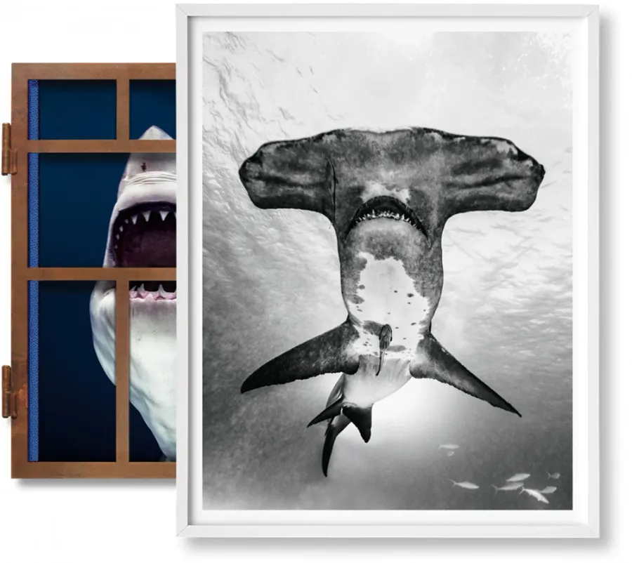 obrazek 1 Książka Michael Muller. Sharks, Art Edition No. 101–200 ‘Under Study’ - Taschen