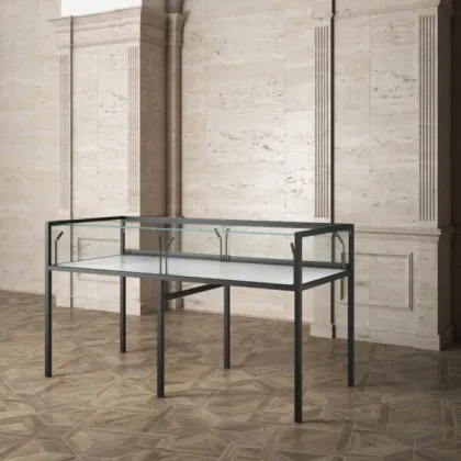 Picture A unique museum display case