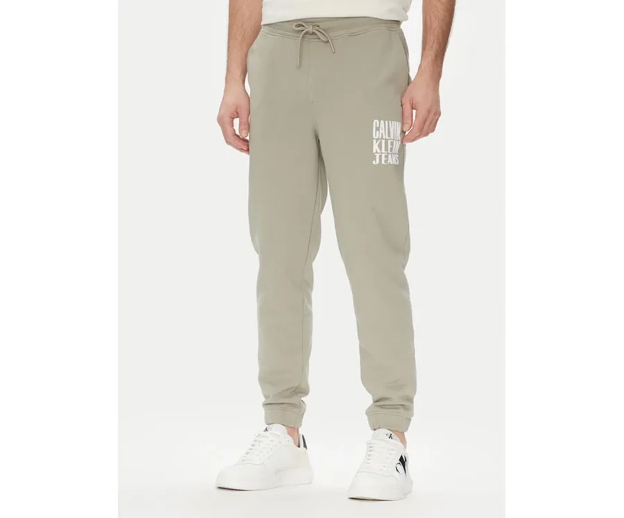 obrazek 1 Calvin Klein Jeans Spodnie dresowe Painted J30J327535 Zielony Regular Fit