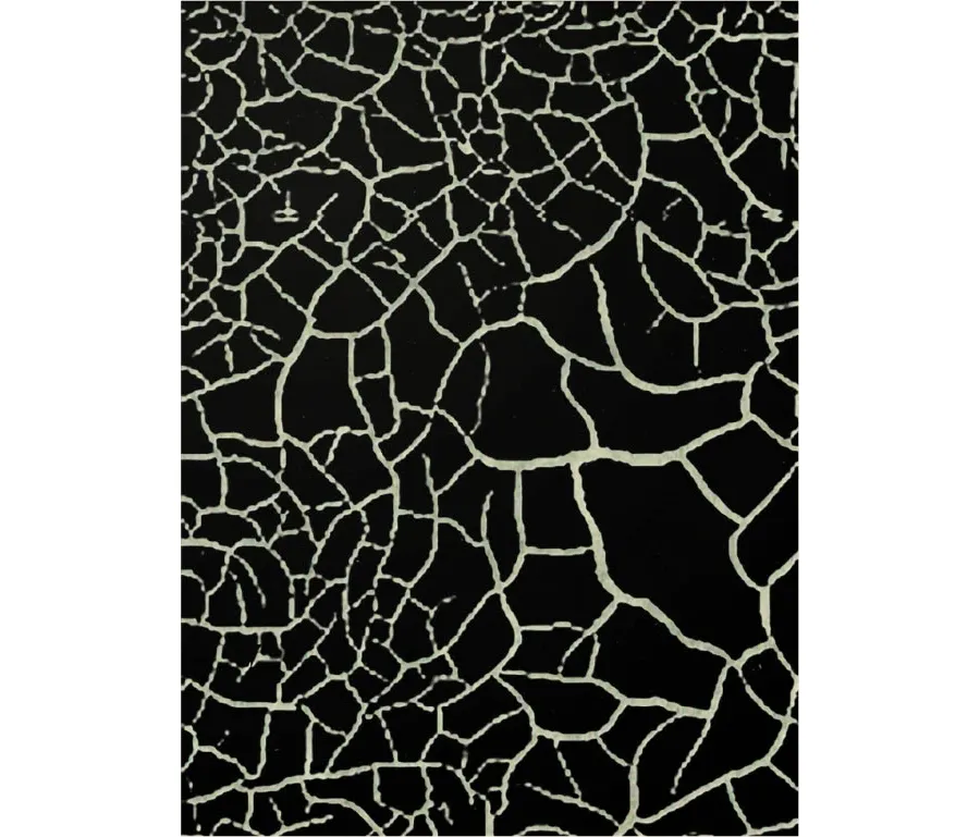 obrazek 1 Wyszukany czarny dywan wykonany z wełny - Sartori Rugs