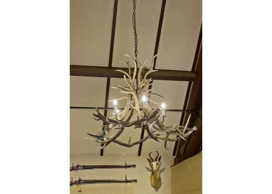 picture 1 Unique chandelier