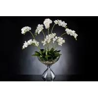 Picture An avant-garde glass vase with flowers from the Italian company VG