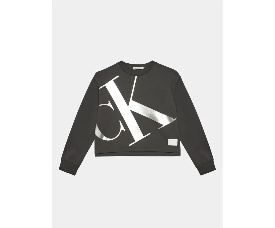 obrazek 1 Calvin Klein Jeans Bluza Mercury Monogram IG0IG02482 Szary Regular Fit