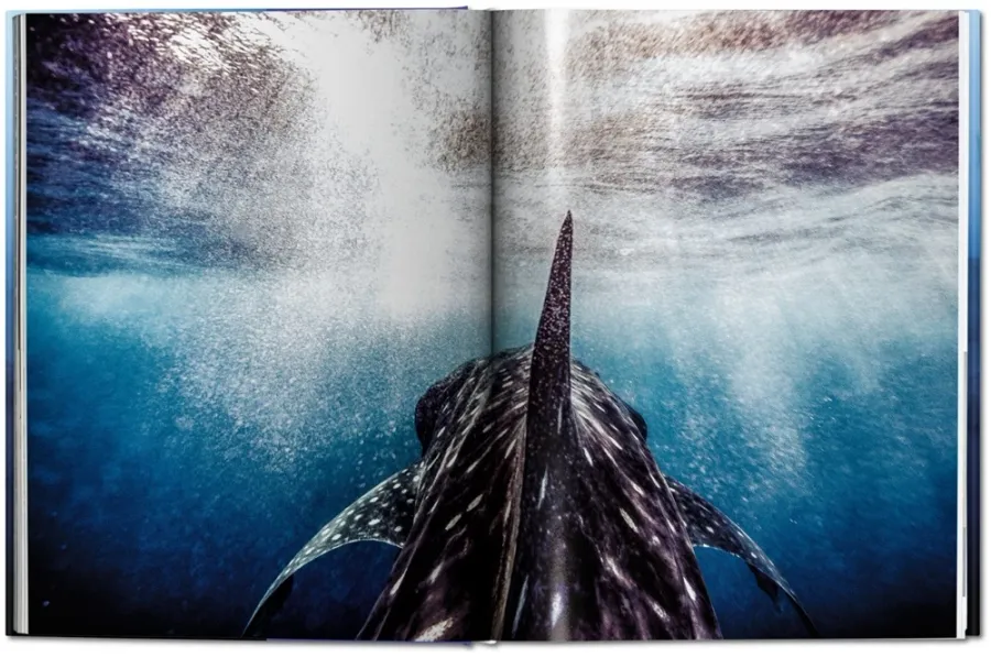 obrazek 7 Książka Michael Muller. Sharks. Face-to-Face with the Ocean’s Endangered Predator - Taschen