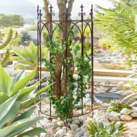 Zdjęcie Treliaż Binners