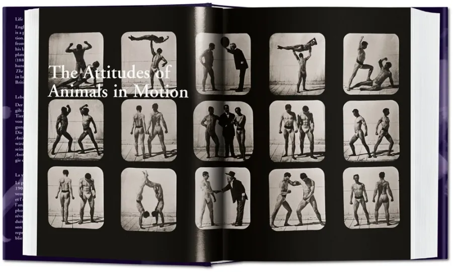 obrazek 3 Książka Muybridge. The Human and Animal Locomotion Photographs - Taschen