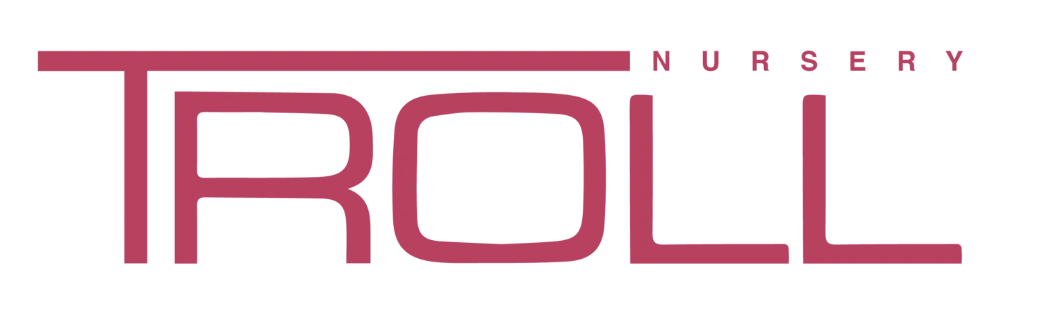 Troll Nursery logo