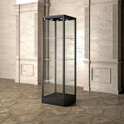 Picture Luxurious museum display case with three shelves and lighting