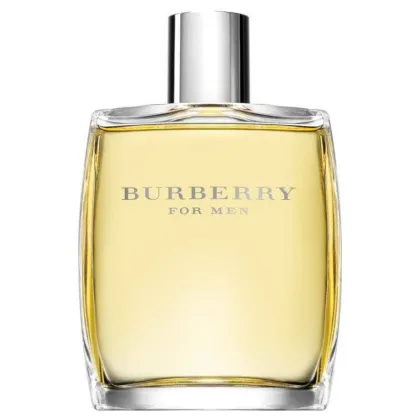 Zdjęcie Burberry For Men Woda toaletowa dla mężczyzn, 100 ml 100 ml