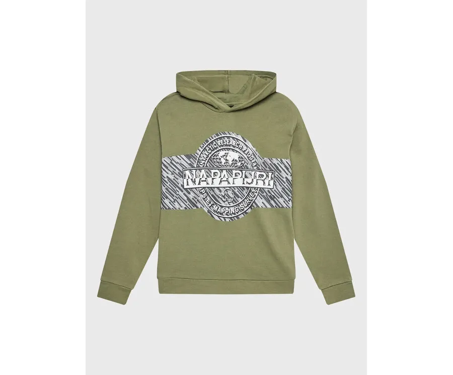 obrazek 1 Napapijri Bluza B-Pinzon NP0A4GXD M Zielony Regular Fit