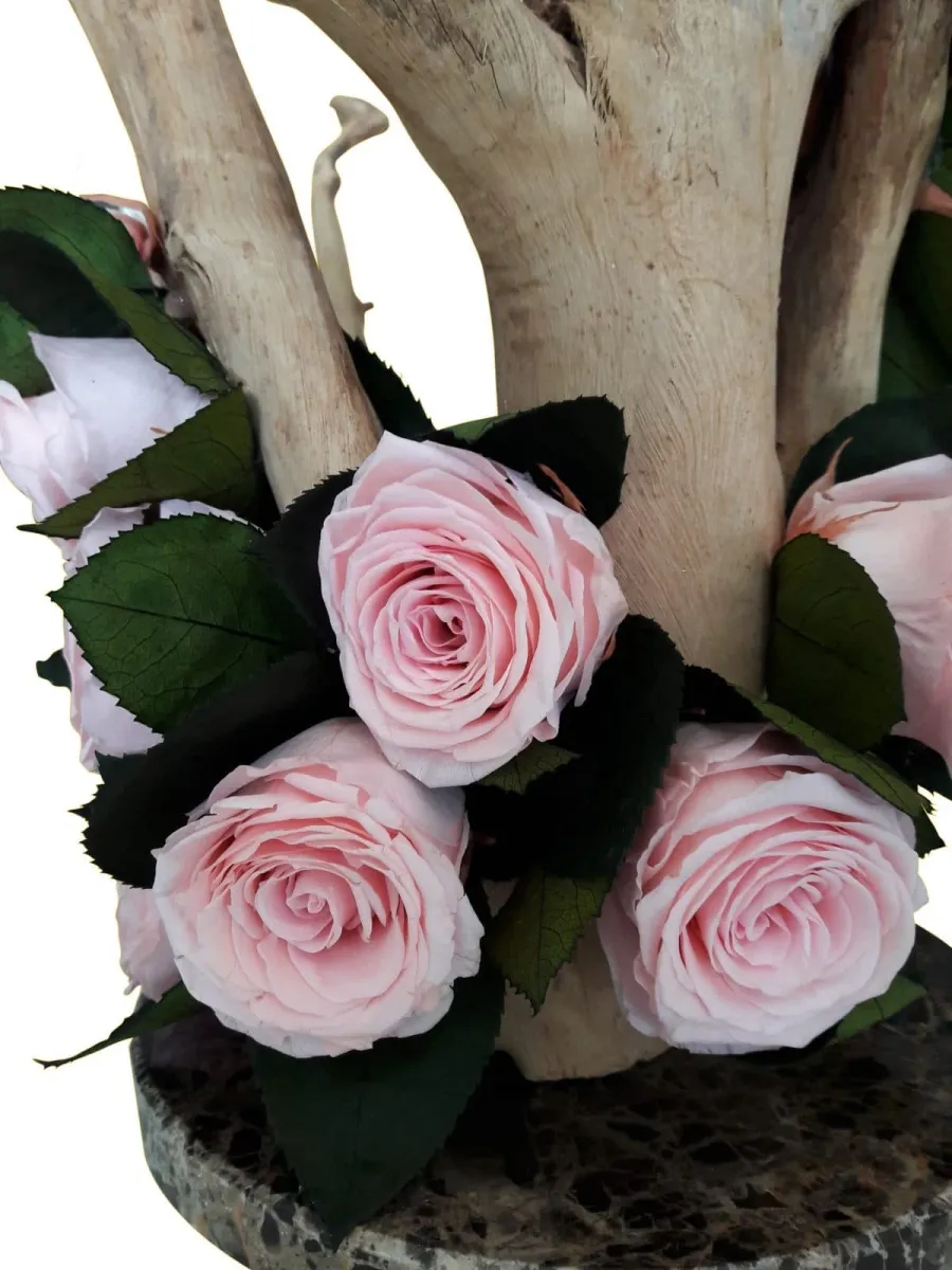 obrazek 5 Wyjątkowa dekoracja – Bonsai ze stabilizowanymi różami