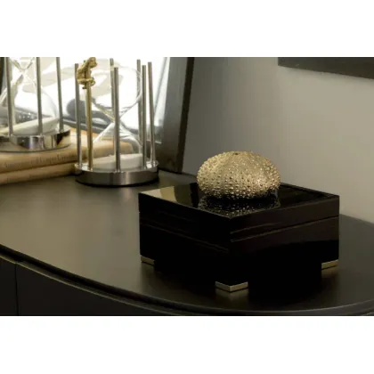 Picture Elegant ebony box with a golden sea urchin