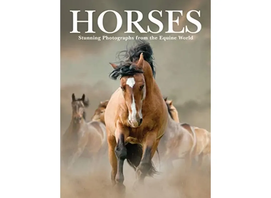 obrazek 1 Książka Horses: Stunning Photographs from the Equine World