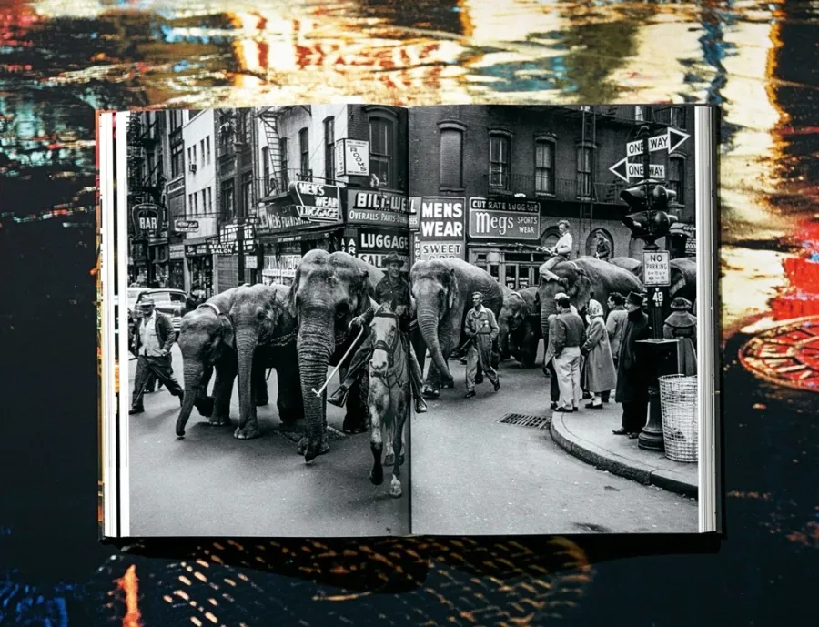 obrazek 12 Książka Marvin E. Newman, Art Edition No. 1–75 ‘Coney Island, 1953’ - Taschen