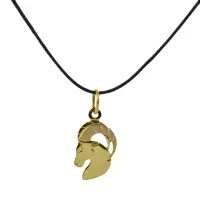 Picture Zodiac pendant