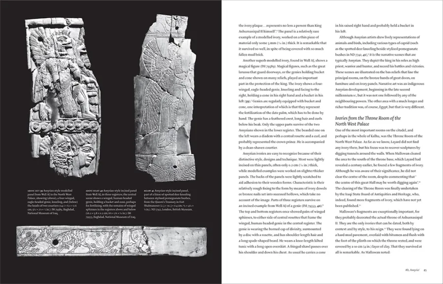 obrazek 7 Książka Ancient Ivory Arcydzieła Imperium Asyryjskiego - Thames & Hudson