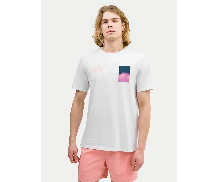 obrazek 1 4F T-Shirt 4FWSS24TTSHM1289 Biały Regular Fit