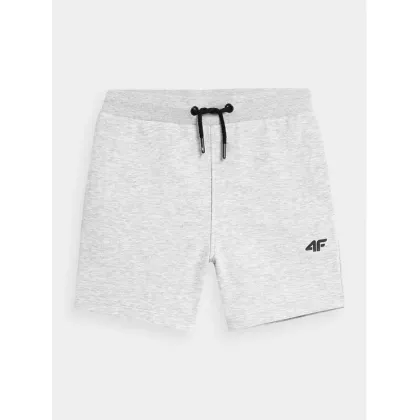Zdjęcie 4F Szorty sportowe 4FJSS23TSHOM048 Szary Regular Fit