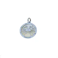 Zdjęcie Zawieszka symboliczny znak zodiaku rak