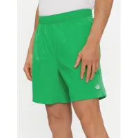 Zdjęcie The North Face Szorty sportowe Class V Pathfinder NF0A86QM Zielony Regular Fit