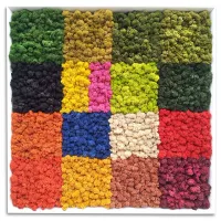 Zdjęcie Obraz z mchów stabilizowanych Patchwork