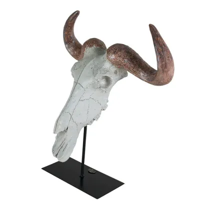 Zdjęcie Model czaszki bawoła wykonany w żywicy - Authentic Models