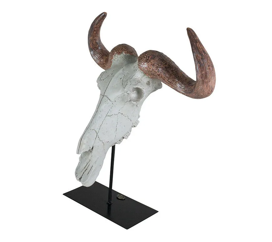 obrazek 1 Model czaszki bawoła wykonany w żywicy - Authentic Models