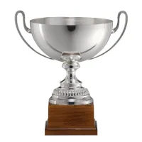 Picture The best reward for an athlete in the form of an original cup