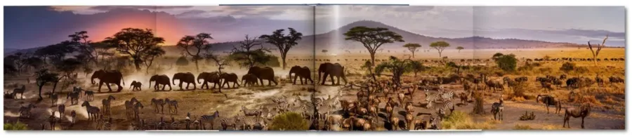 obrazek 15 Książka Dzień do nocy Stephen Wilkes. Day to Night - Taschen