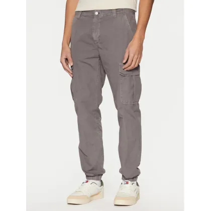Zdjęcie Tommy Jeans Joggery Ryan DM0DM20284 Szary Regular Fit