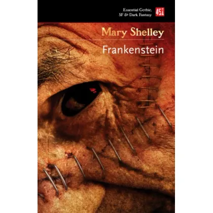 Zdjęcie Książka Frankenstein - Flame Tree Publishing