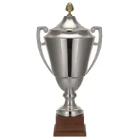 Picture Top-class sports cup with the option of engraving