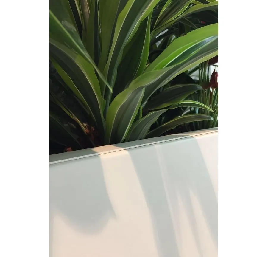 obrazek 3 Funkcjonalna donica Hydroponics w wielu rozmiarach i 3 kolorach do wyboru