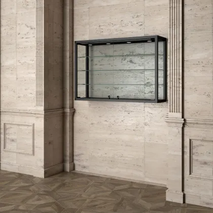 Picture Luxurious hanging museum display case