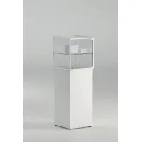 Picture Exclusive display case for a shop or boutique