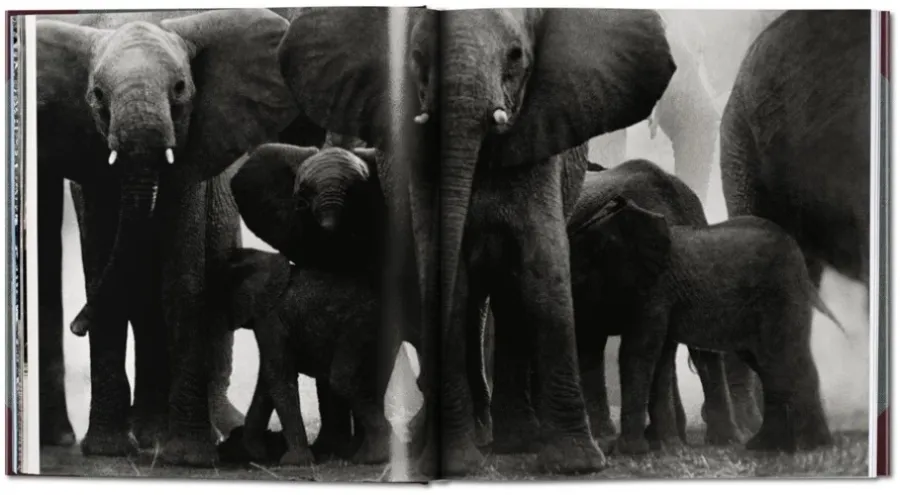obrazek 4 Książka Peter Beard. The End of the Game. 50th Anniversary Edition - Taschen