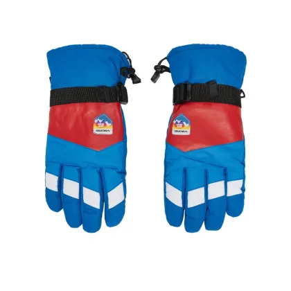 Zdjęcie Viking Rękawice narciarskie Brother Louis Ski 110/24/6226/9934 Kolorowy
