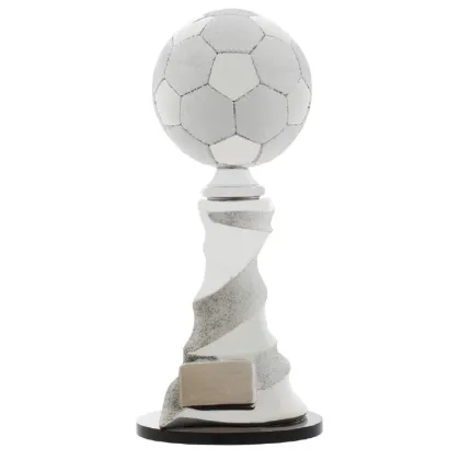 Zdjęcie Srebrny puchar na turniej piłkarski