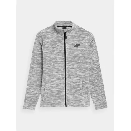 Zdjęcie 4F Polar 4FJAW23TFLEM105 Szary Regular Fit