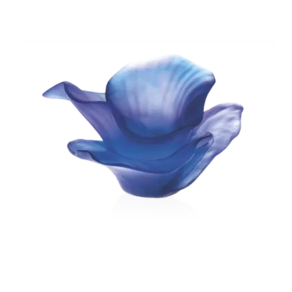 Zdjęcie Wyjątkowy dekoracyjny kwiat kalii