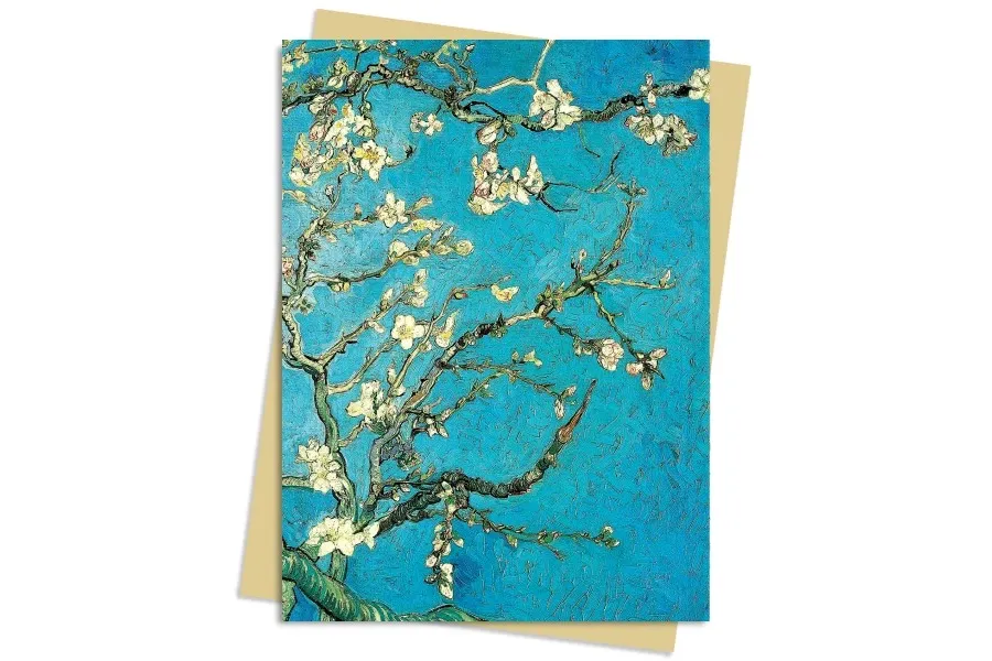 obrazek 1 Pakiet kartek na życzenia (Van Gogh: kwiat migdałów) - Flame Tree Publishing